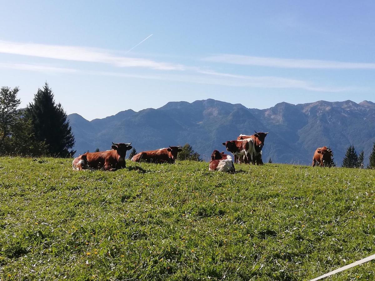 Brunarica Na Goreljeku Bohinj Buitenkant foto