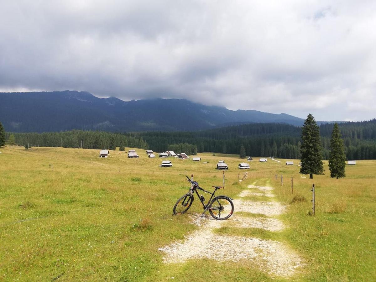 Brunarica Na Goreljeku Bohinj Buitenkant foto