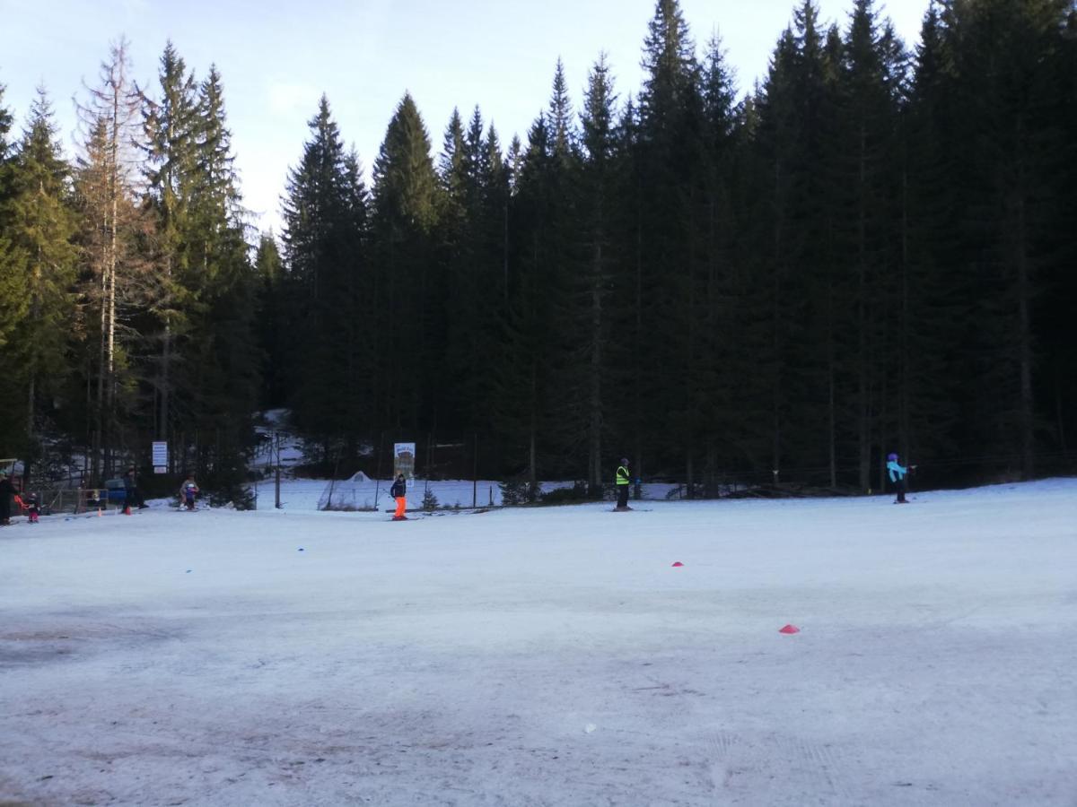 Brunarica Na Goreljeku Bohinj Buitenkant foto