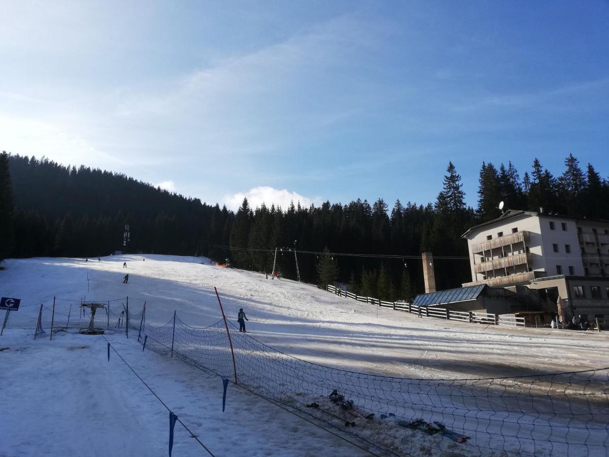 Brunarica Na Goreljeku Bohinj Buitenkant foto