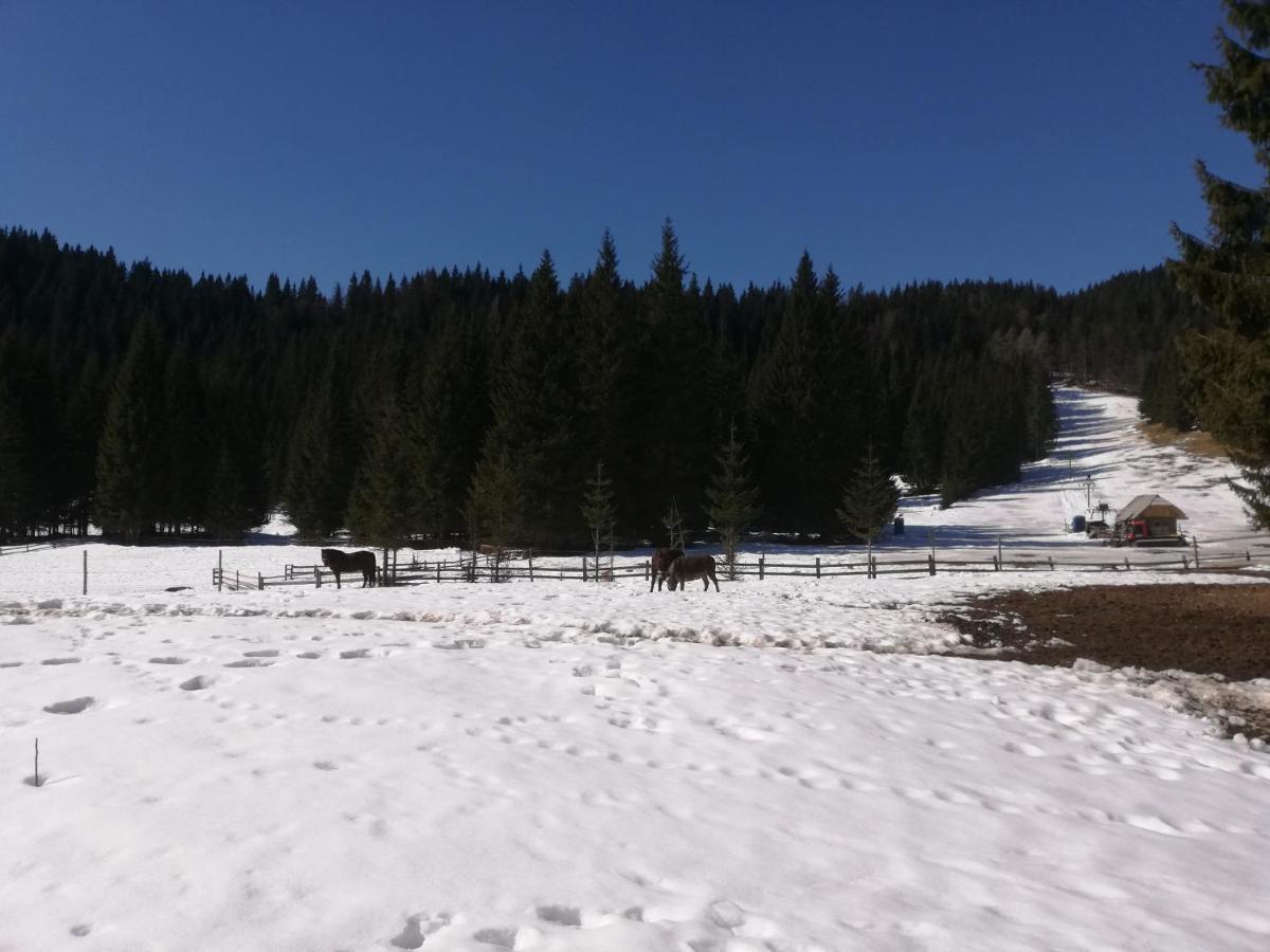 Brunarica Na Goreljeku Bohinj Buitenkant foto