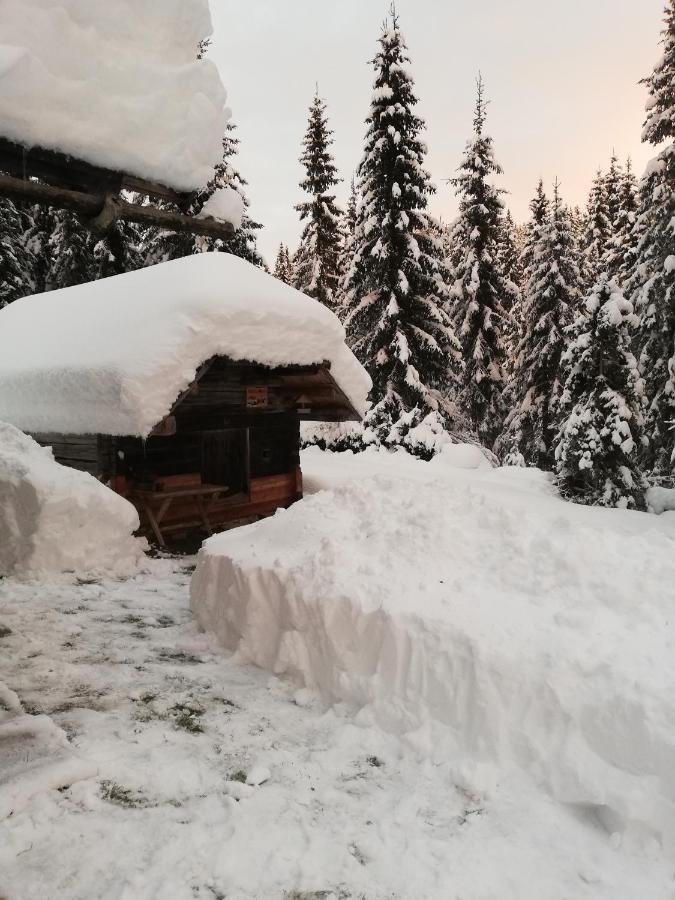 Brunarica Na Goreljeku Bohinj Buitenkant foto