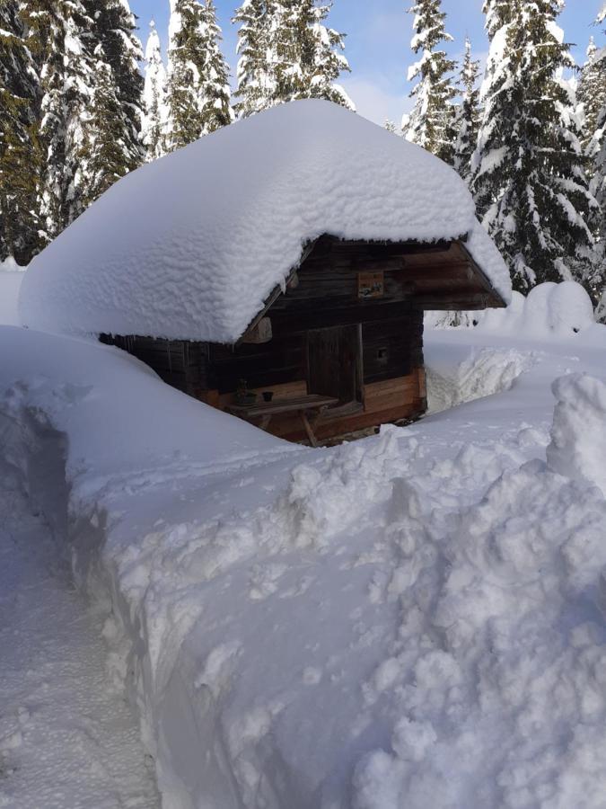 Brunarica Na Goreljeku Bohinj Buitenkant foto