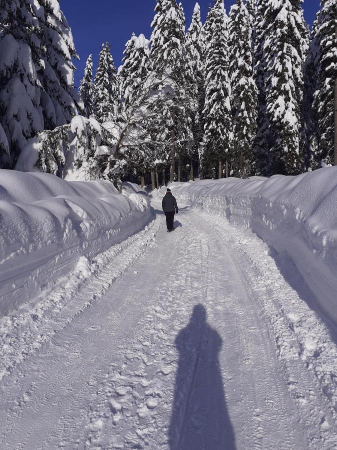 Brunarica Na Goreljeku Bohinj Buitenkant foto