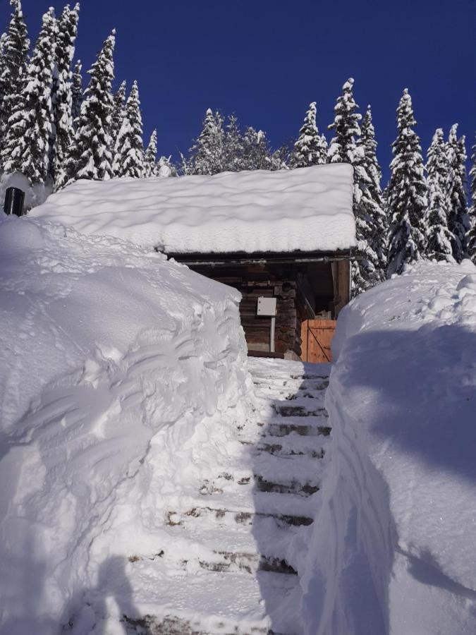 Brunarica Na Goreljeku Bohinj Buitenkant foto