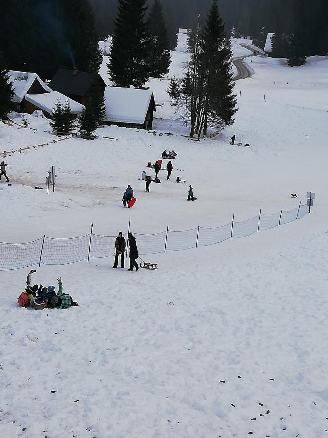 Brunarica Na Goreljeku Bohinj Buitenkant foto