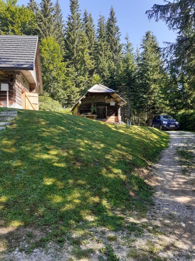 Brunarica Na Goreljeku Bohinj Buitenkant foto