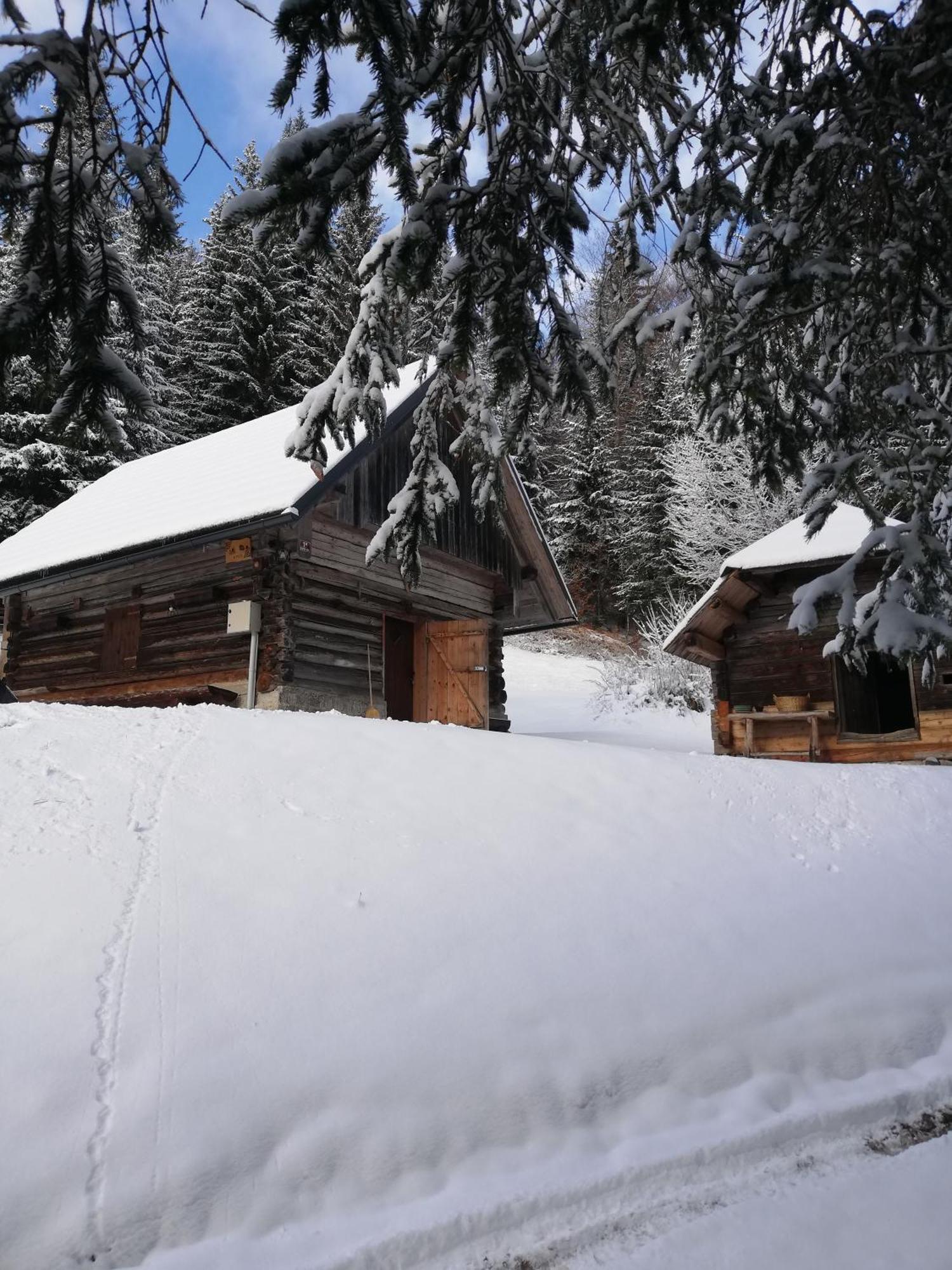 Brunarica Na Goreljeku Bohinj Buitenkant foto