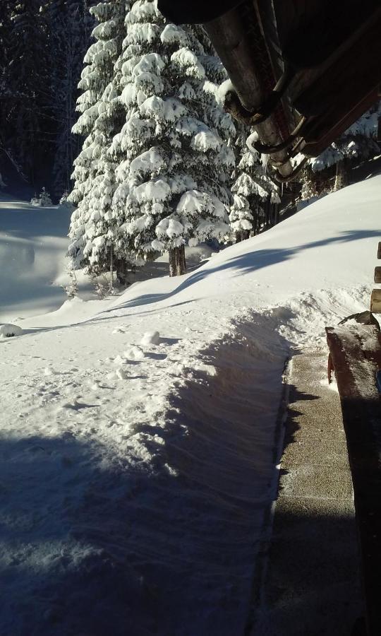 Brunarica Na Goreljeku Bohinj Buitenkant foto